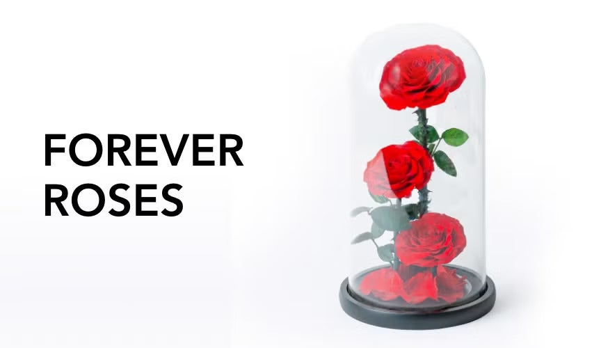 Forever Roses