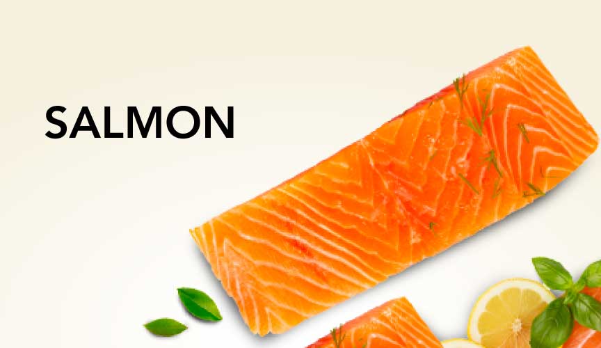 Salmon
