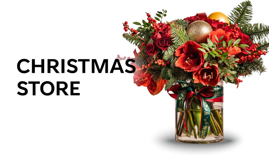 Christmas Store