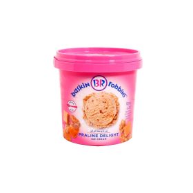 Baskin Robbins Ice Cream Praline Delight