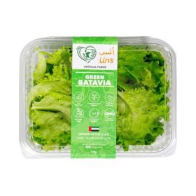 Uns Green Batavia Lettuce