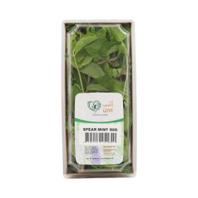 Uns Spear Mint