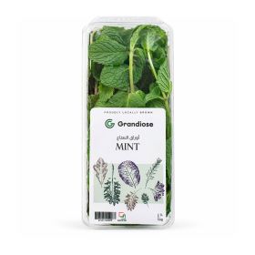 Grandiose Mint