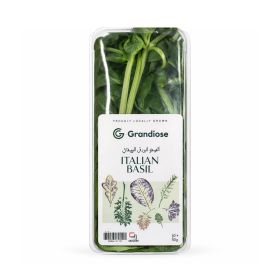 Grandiose Italian Basil