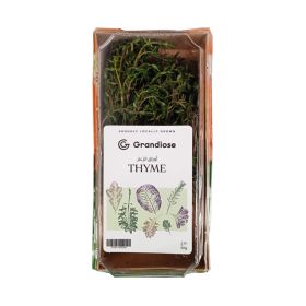 Grandiose Thyme