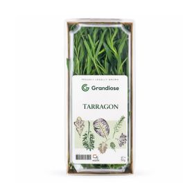 Grandiose Tarragon