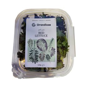Grandiose Red Lettuce