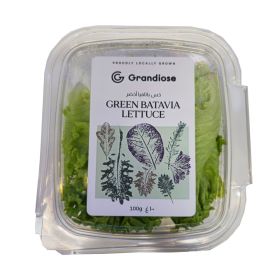 Grandiose Green Batavia Lettuce