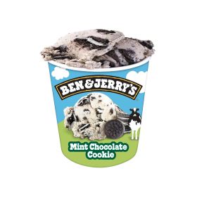 Ben & Jerry's Mint Chocolate Cookie Ice Cream