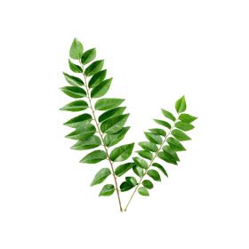 Curry Leaves