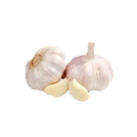 Garlic Fresh Egypt