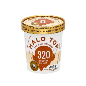 Halo Top Dairy Free Sea Salt Ice Cream