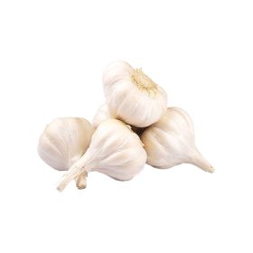 Garlic India