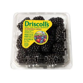 Driscolls Blackberry USA