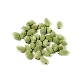 Almond Green Lebanon