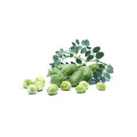 Green Chickpeas Lebanon