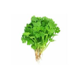 Premium Coriander Leaves