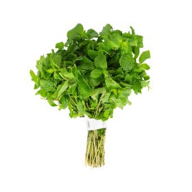 Premium Mint Leaves