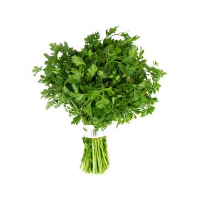 Premium Parsley Leaves