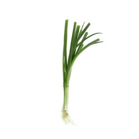 Premium Spring Onion