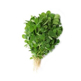 Premium Methi Leaves