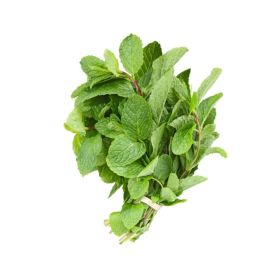 Fresh Mint Leaves Local