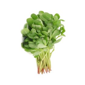 Fresh Barbeer Leaves Local