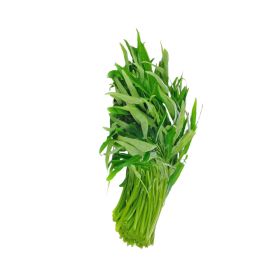 Fresh Kangkong Leaves Local
