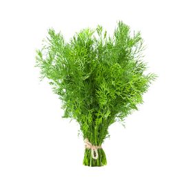 Fresh Dill Leaves Local