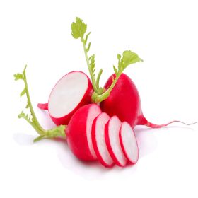 Radish Red PP