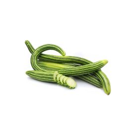 Cucumber (Snake) Armenian