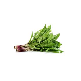 Dandelion (Hendbeh) Lebanon