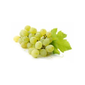 Grapes White Seedless Iran