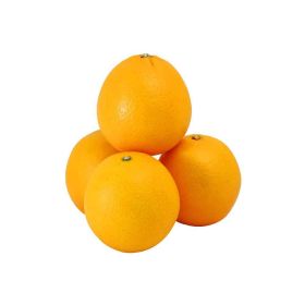 Valencia Orange South Africa