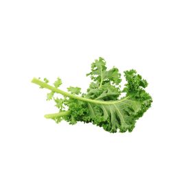 Kale Leaves Holland