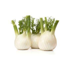 Fennel Holland