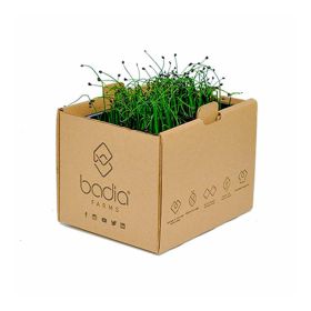 Badia Garlic Chives 2'S