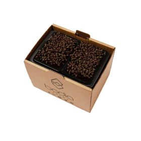 Badia Beetroot Amaranth 2'S