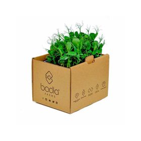 Badia Tendril Pea 2'S