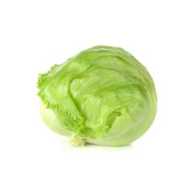 Lettuce Iceberg Local