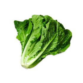 Lettuce Romaine Local