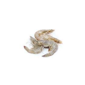 Fresh Shrimps 20/30 Medium