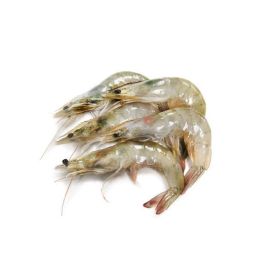 Fresh Shrimps 30/40 Small