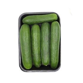 Themar Organic Cucumber