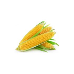 J I Organic Sweet Corn 500G
