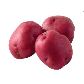 Potato Red