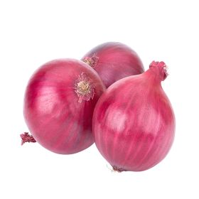Onion Big Red Holland