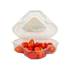 Cherry Plum Tomato Spain