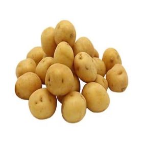 Potato Peewee Dutch Yellow USA