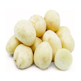 Potato White Creamer USA